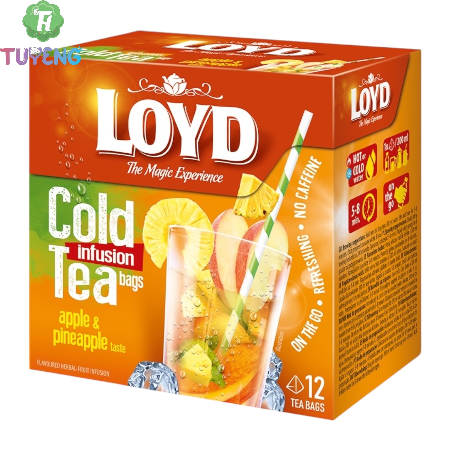 LOYD Cold Tea Apple& Pineapple 12×2,5 g