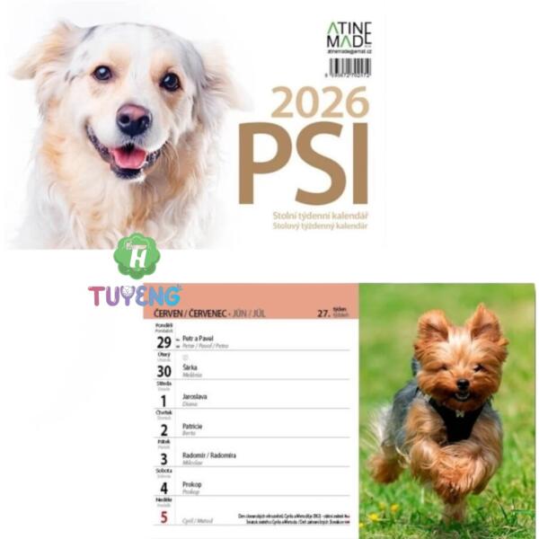 Ảnh sản phẩm, di chuột vào để phóng to