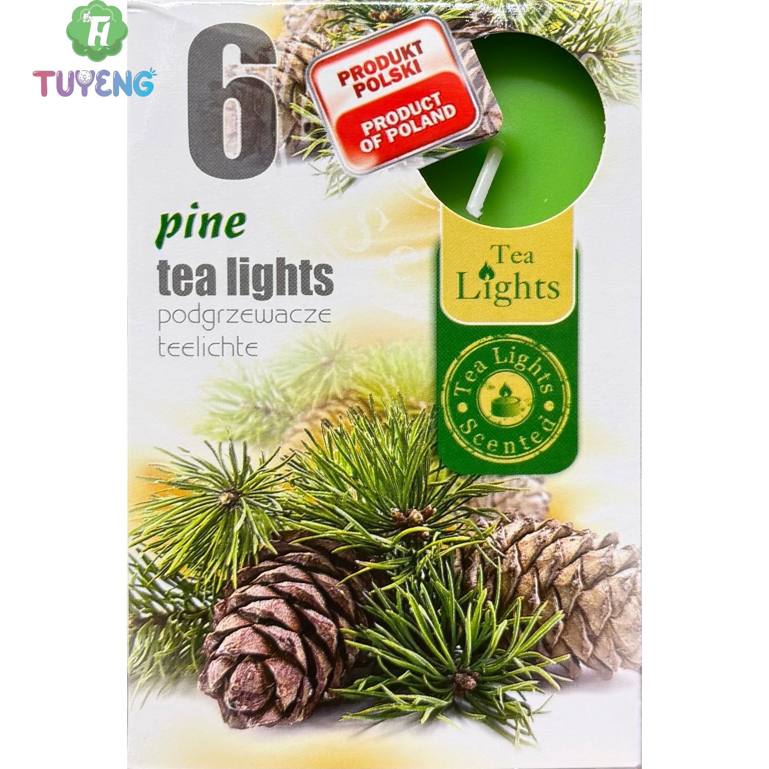 ADMIT 6 Tea Lights Pine 80 g