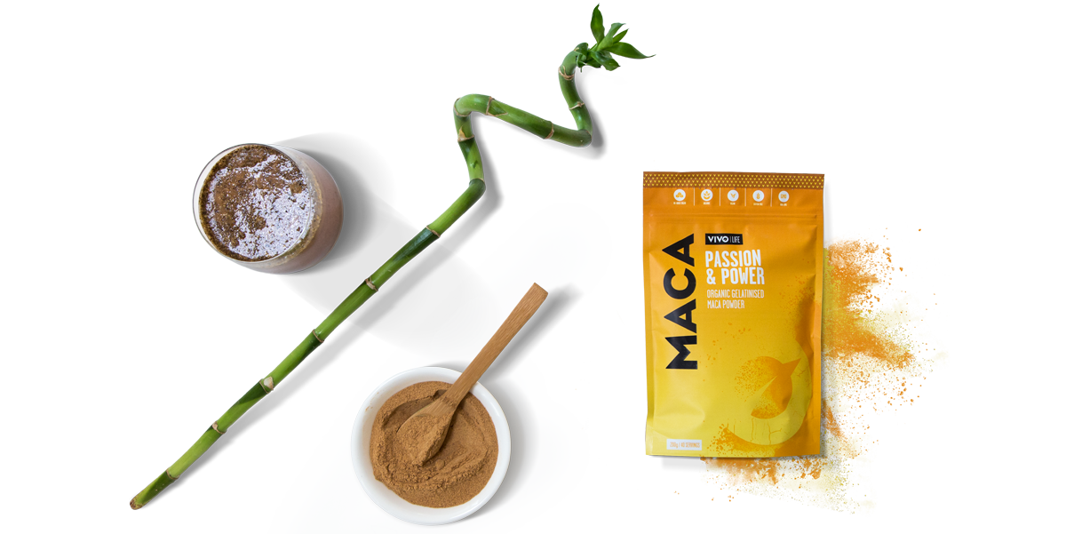 maca-hero2 maca-hero2